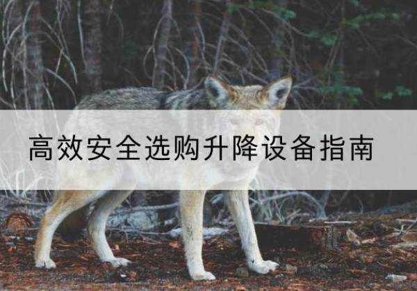 玉溪升降货梯厂家推荐-*安全选购升降设备指南