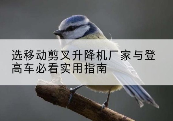 玉溪电动升降机厂家-选移动剪叉升降机厂家与登高车必看实用指南